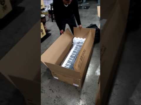 unboxing the mighty Korg Pa 600