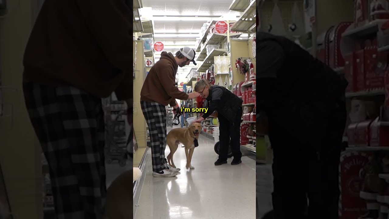Inappropriate Talking Dog Prank SethMeiring
