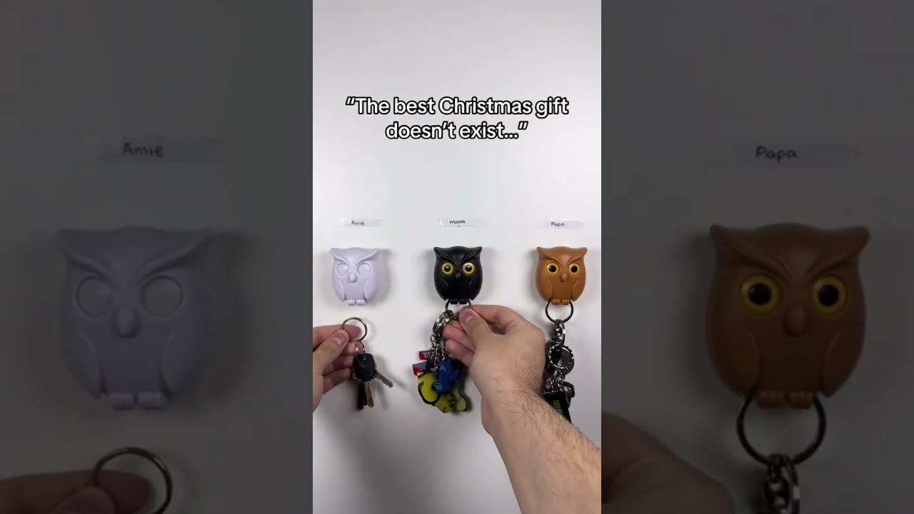 The best Christmas gift for owl lovers!🥰🦉