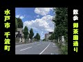 水戸の御茶園通りをぶらぶら散歩 茨城県水戸市千波町 2023年6月