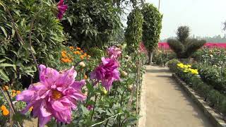 Gopir Bagan, Kirshorgonj