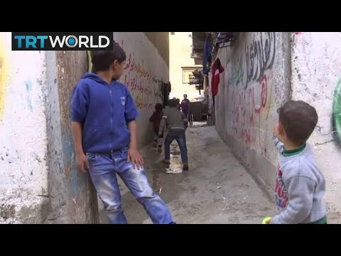 Palestine Refugee Aid: US Cuts Contribution To UN Relief Programme