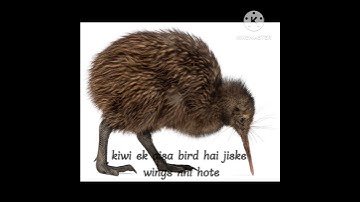 Birds | Educational Video for KidsSecret Nature - Facts About Birds 🦅| Bird Documentary | #ytshorts