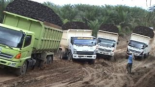 Crazy Truck Driving Skills | Extreme Truck Off Road |  Best Trucker On Mud Roads