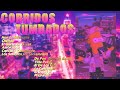 🟣 CORRIDOS TUMBADOS 2022 🟣 Mix Natanael Cano, Junior H, Herencia de Patrones, Porte Diferente,...