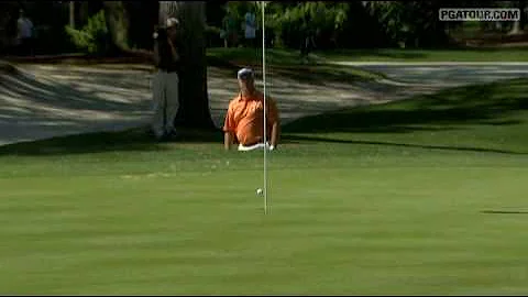 Shot of the Day: Boo Weekly sandy eagle at Harbour...