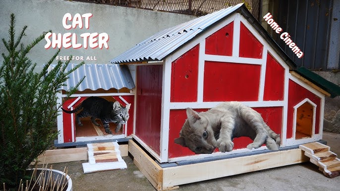 Large Feral Cat House Bizzybrand Shelters for Feral Cats White Two