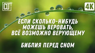 Не сказал ли Я тебе, что, если будешь веровать, увидишь славу Божию? | Звук дождя | Relaxing