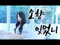 소향 Sohyang 잊었니 Did You Forget L Cover By 박세은 소향 Sohyang 잊었니 Did You Forget L Cover By 박세은