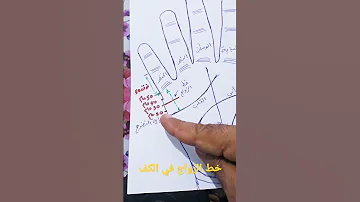 مازن البيضاني خط الزواج في الكف 