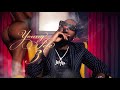 Shy Glizzy - Paint The Town Red [Official Audio]
