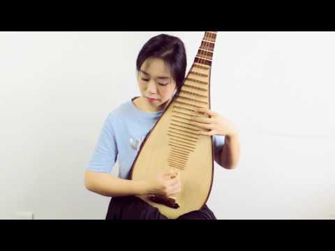 三分钟琵琶教学 第八课 青花瓷 上篇