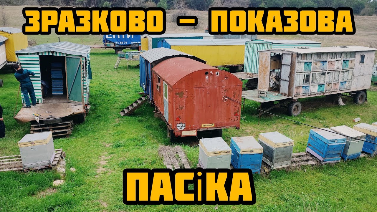 ✅Пасіка Андрієнків