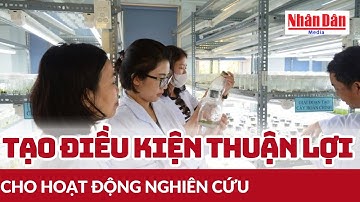 Dự thảo Luật Khoa học, Công nghệ & Đổi mới sáng tạo:Tạo điều kiện thuận lợi cho hoạt động nghiên cứu