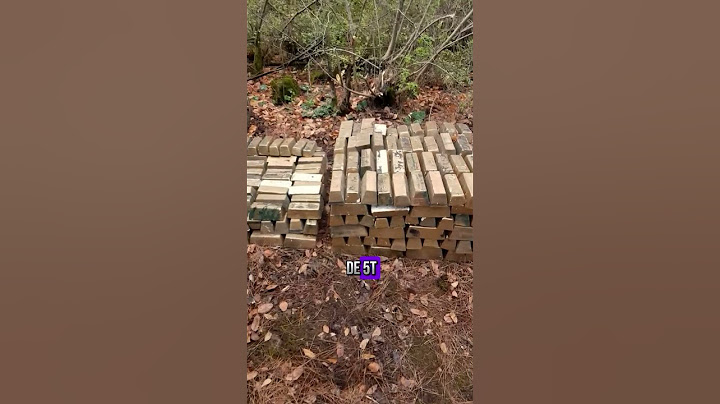 ¡ENCONTRARON 5 TONELADAS DE LINGOTES DE ORO EN UNA CUEVA!