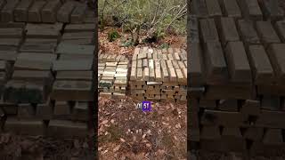 ¡ENCONTRARON 5 TONELADAS DE LINGOTES DE ORO EN UNA CUEVA!