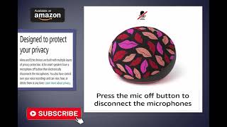 Echo Dot 4Th Gen Limited Edition Provide Studio