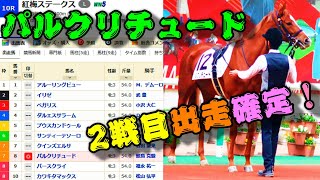 【一口馬主】パルクリチュード2戦目、紅梅ステークス出走確定！！～快速少女、尾張の芝でも克つ～【キャロットクラブ】