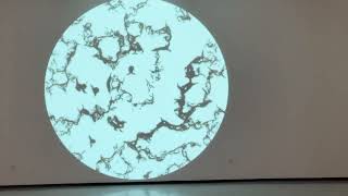 Glowing Globe, Rijeka 2024 - Exhibition In Kortil Gallery