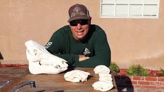ADVANCED SKULL DEGREASING AND NEW WHITENING PRODUCT