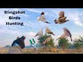Slingshot hunting mix birds hunting 