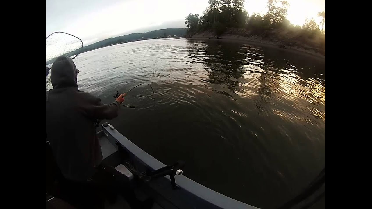 Crooked Hook Nw Fishing on the Columbia river YouTube