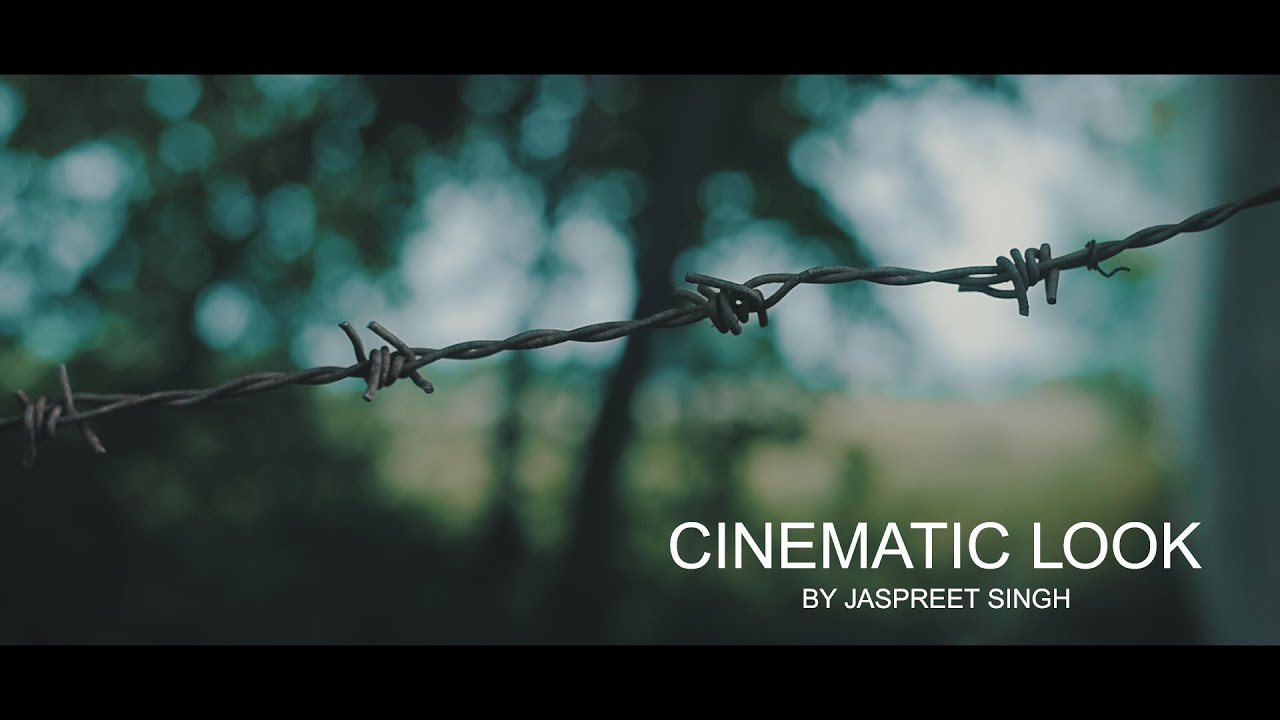 A Cinematic Look Film - Nikon D750 by Jaspreet Singh