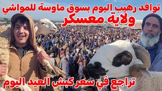 🔴 تصريح من الزوار و التجار عن تراجع في سعر كبش عيد الأضحى اليوم بسوق ماوسة و لاية معسكر _ المواشي !؟