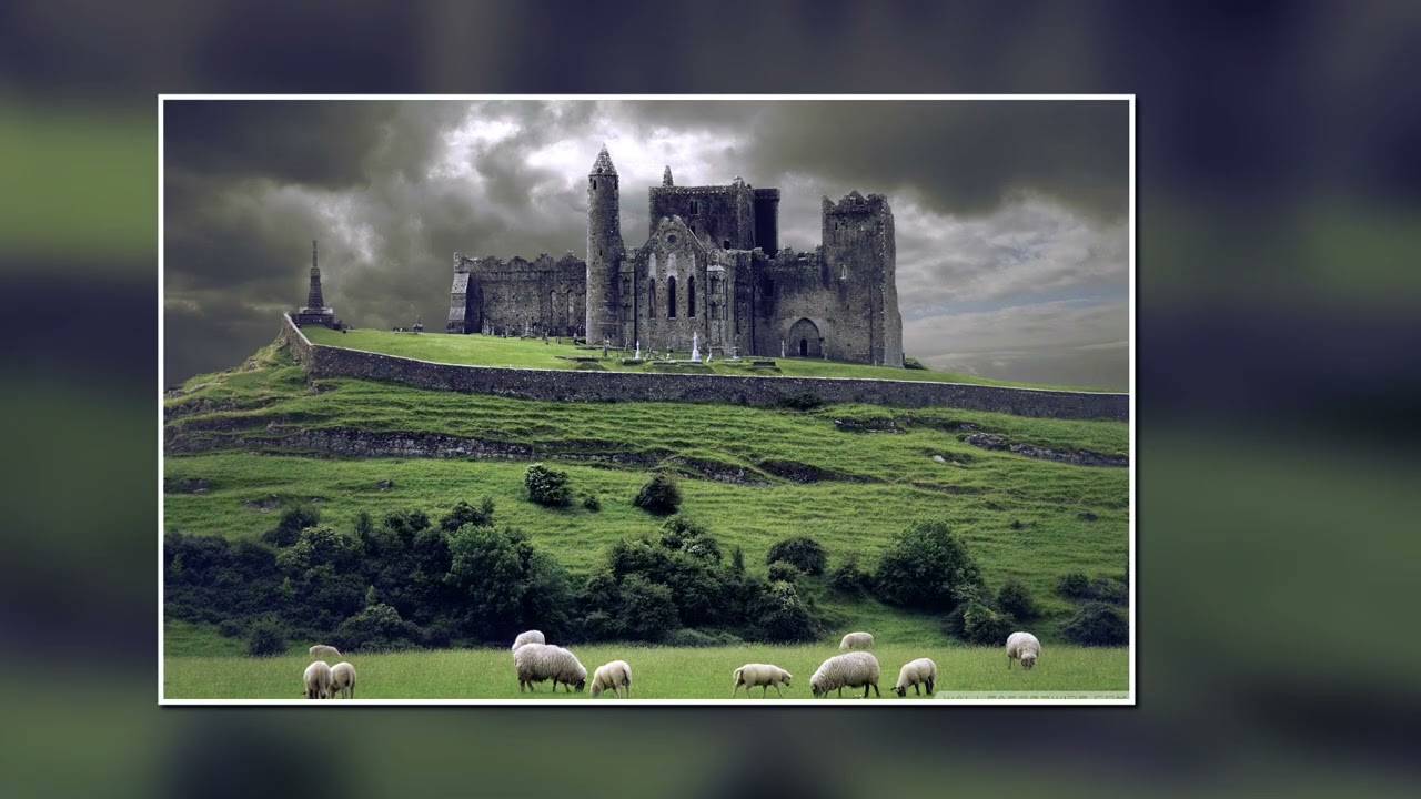 Born to Sail - S&D Musics