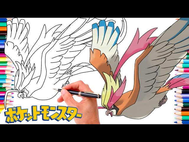 メガピジョットの描き方 | メガポケモン - YouTube