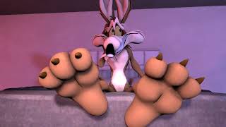 Wile E Shows Off