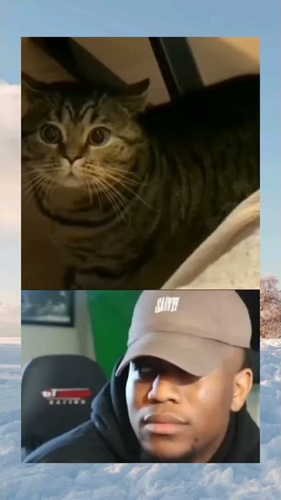 Kucing Hitam Ngomong Anak Anjing #short #shorts #share #trending #viral #fyp #ytshorts