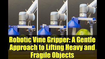 Robotic Vine Gripper: A Gentle Approach to Lifting Heavy and Fragile Objects