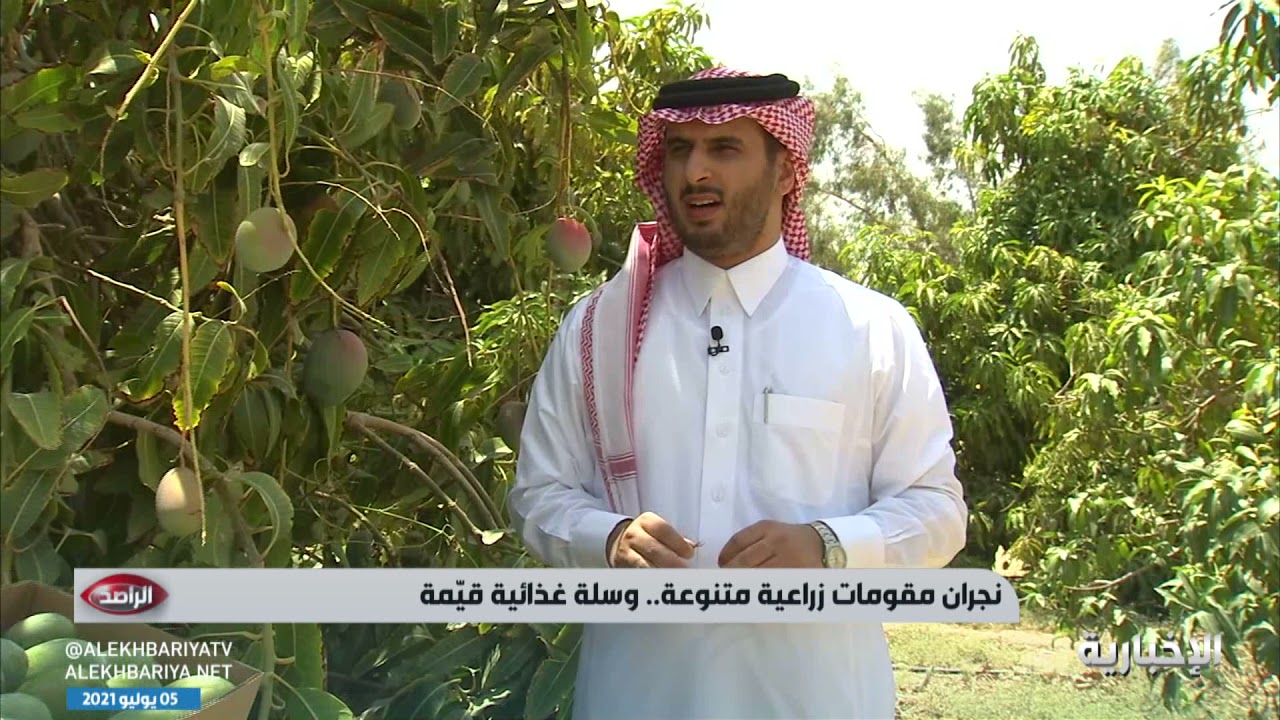 حلقة الراصد |قصة نجاح سطرتها "البستنة" على أراضي نجران الزراعية