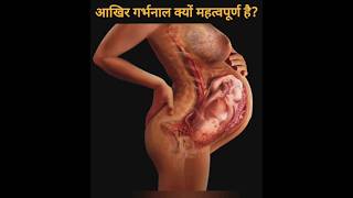 Why is the umbilical cord important आखिर गर्भनाल क्यों महत्वपूर्ण है ll viral shorts short gk