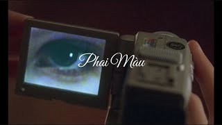 [LYRICS/PINYIN] Phai Màu - Trâu Bái Bái, YoHu | 褪色 - 邹沛沛, YoHu