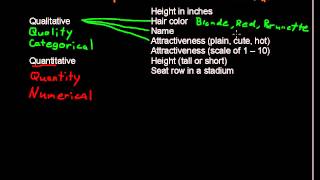 What are Qualitative and Quantitative Variables - Business Statistics Tips