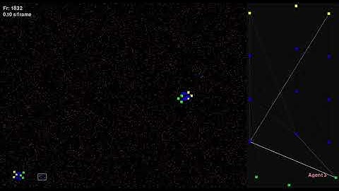 Perspective Effects in Panel