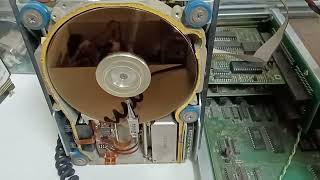 MFM 5.25 Old Hard Disk startup sound