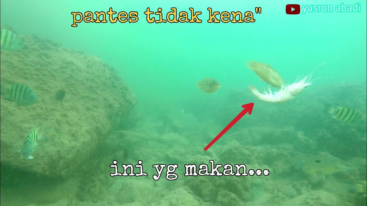 melihat keadaan bawah air di spot mancing|| rembang