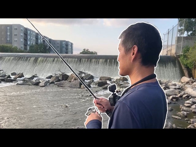 amazon fly fishing lures Amazon Best Sellers: Best Fly Fishing Wet Flies