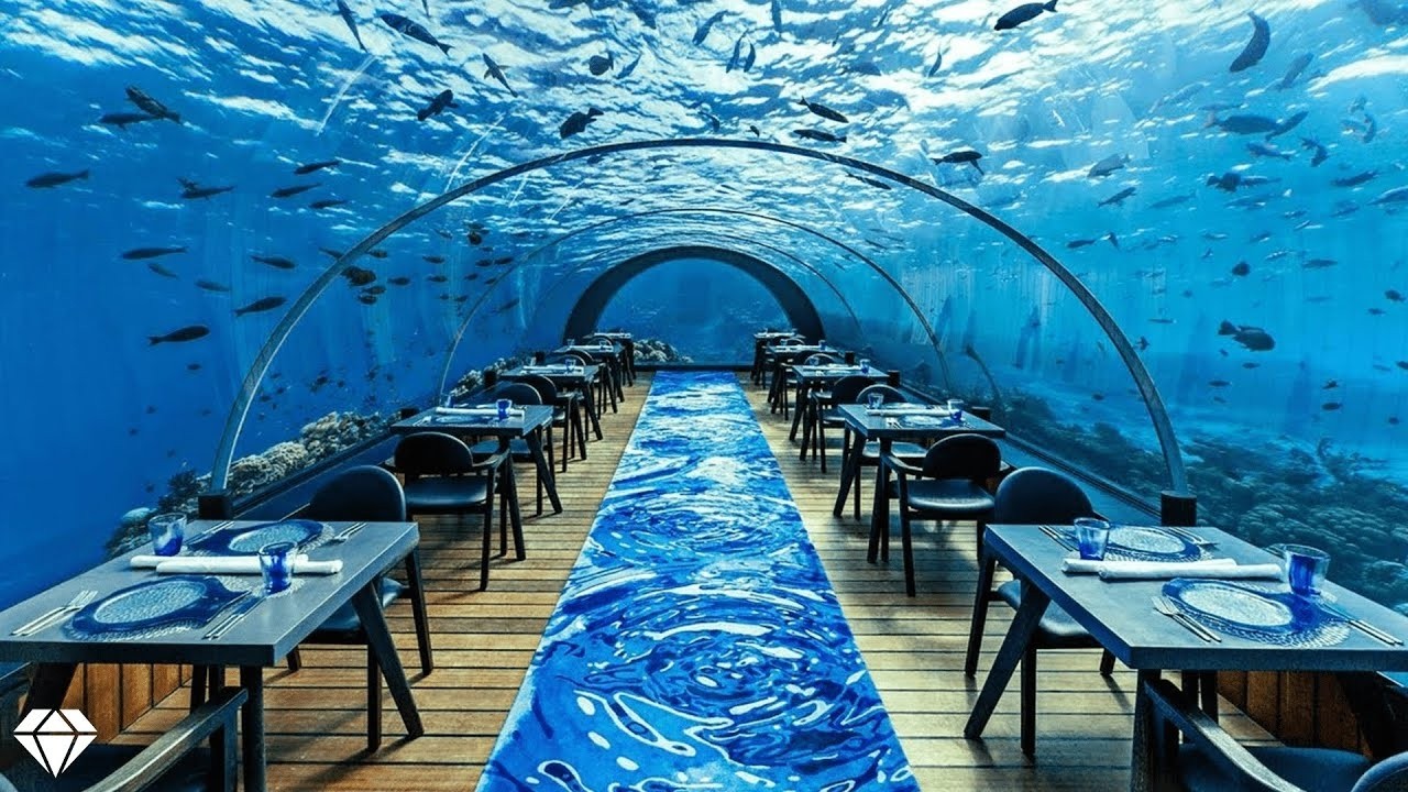 Самые дорогие рестораны Нью-Йорка... Цены меня ШОКИРУЮТ!