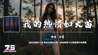 我的热情如火苗 - 任夏『我的热情如火苗 你的冷漠如冰雹，我的陪伴不过是你偶尔的需要』【動態歌詞 | Lyrics Video】♪