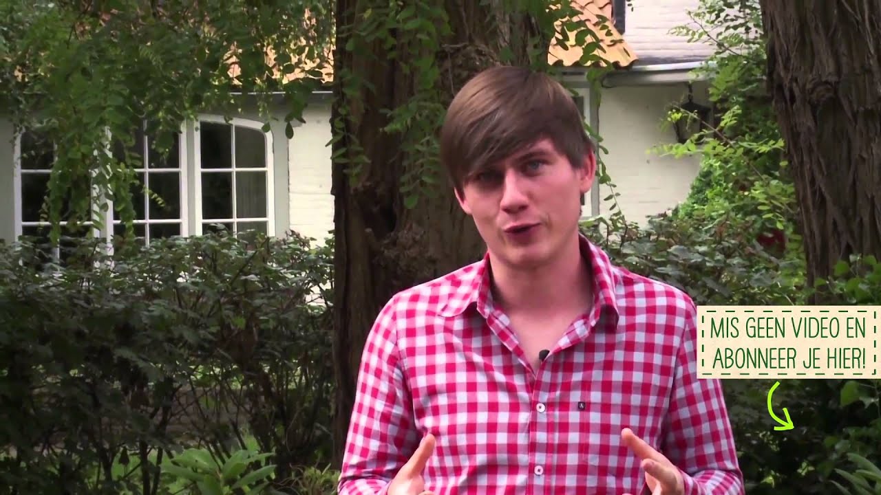 Kuipplanten watergeven tijdens warm weer