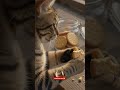 窓辺の小鳥さんと、半分こ🐦🍪