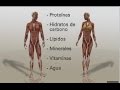 Nutrientes indispensables - YouTube