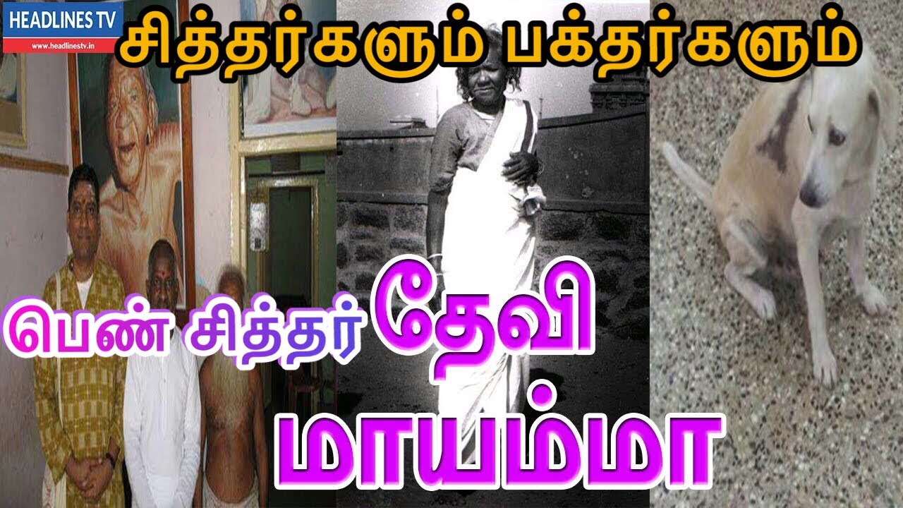 lady Siddhar Mayamma | பெண் சித்தர் மாயம்மா மகிமை | சித்தர்களும் பக்தர்களும் | headlines TV