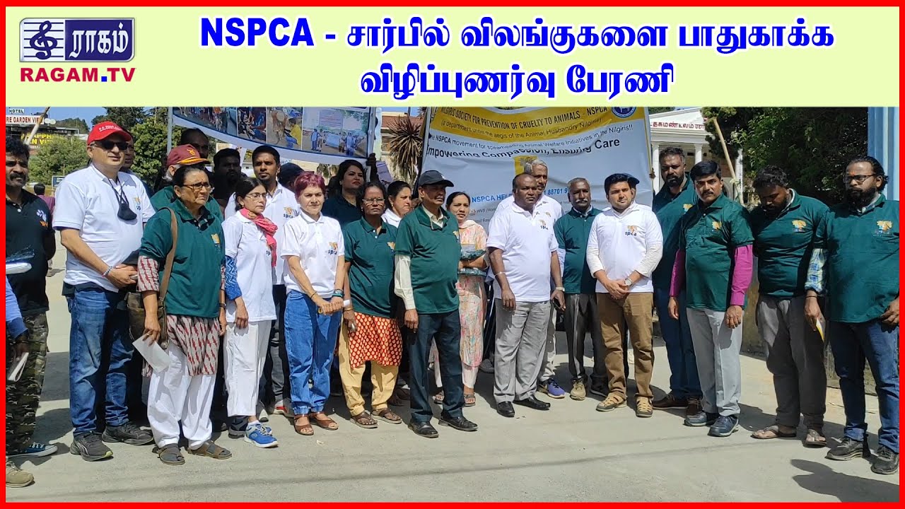 NSPCA - சார்பில் விலங்குகளை பாதுகாக்க விழிப்புணர்வு பேரணி | 