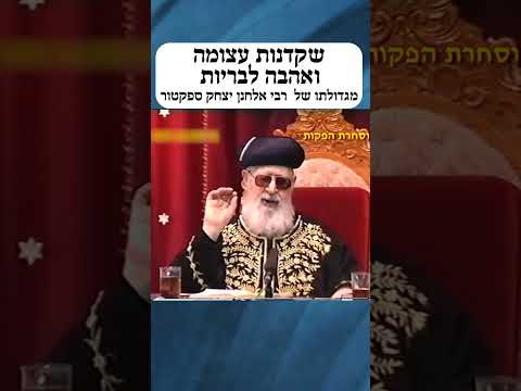 שקדנות עצומה ואהבה לבריות מגדולתו של רבי יצחק אלחנן ספקטור זצ ל 