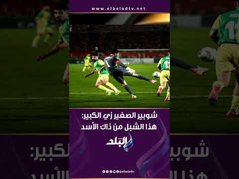 شوبير الصغير زي الكبير هذا الشبل من ذاك الأسد